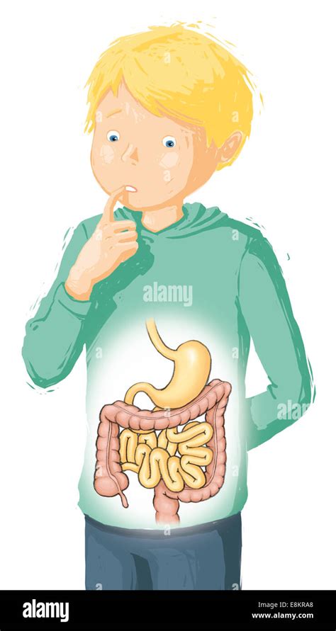 Image result for Child Digestive System