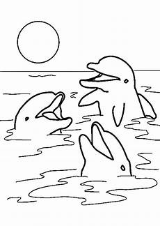malvorlagen delfine und wassertiere ausmalbilder ausmalbilder wale und delfine delphinzeichnung malvorlagen delfine und wassertiere ausmalbilder ausmalbilder wale und delfine delphinzeichnung
