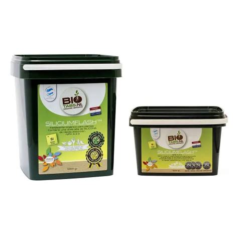 BioTabs Silicium Flash kaufen - Silizium