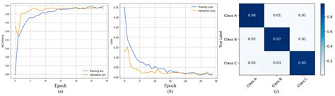 Attention-Based Ensemble Network for Effective Breast Cancer ...