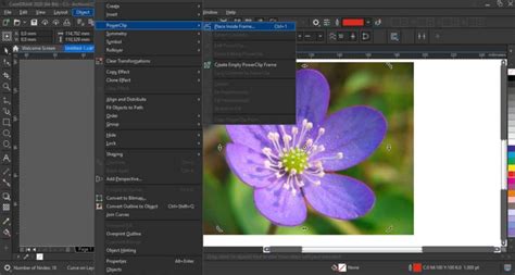 Image result for Remove Background in Corel