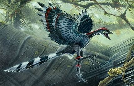 恐龙是怎么演化为鸟类的？ - 知乎