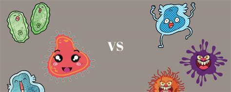 Bacteria | Research Matters