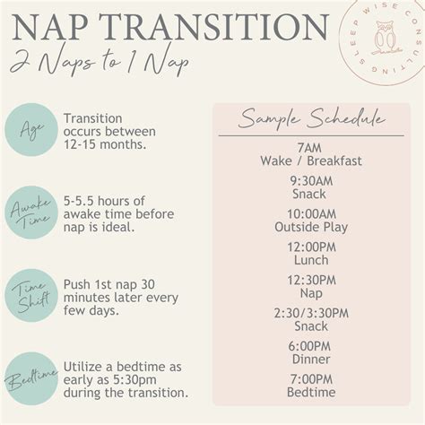 2 to 1 Nap Transition | Baby care tips, Sleep training, Baby life hacks