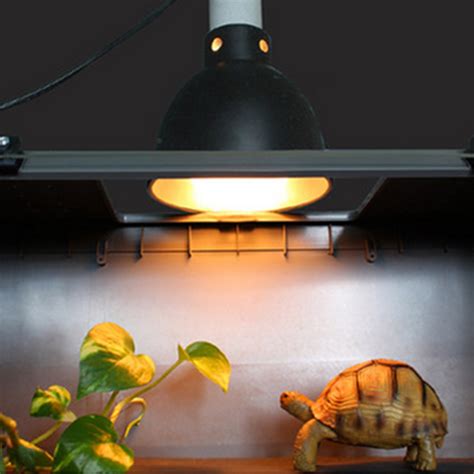 Reptile Enclosure Lamps at Pam Calhoun blog