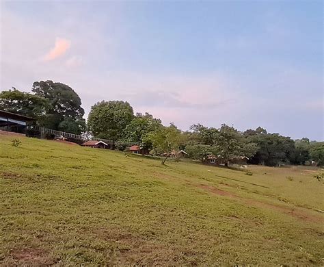 STERLING KADUMANE HILLS SAKLESHPUR (Karnataka) - Campground Reviews ...