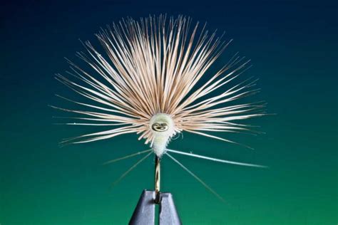 Image result for PMD Fly Pattern