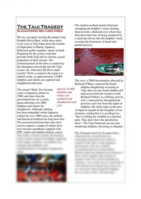 Image result for Article Assignment