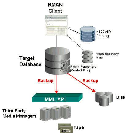 Oracle RMAN Tutorial 的图像结果