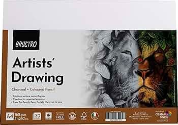 Brustro Artists Drawing Paper 160 GSM A4 Size, Pack of 30 Sheets ...