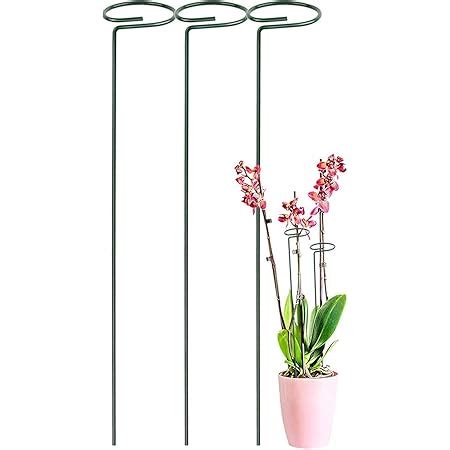 TrustBasket Garden Trellis Plant Support for Indoor and Outdoor Plants ...