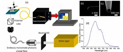 Snom Spectroscopy 的图像结果