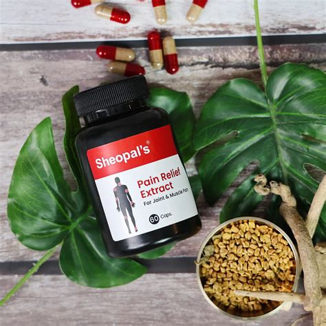 Buy Ayurvedic Pain Relief Capsules For Joint & Body Pain | Sheopal's ...