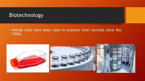 Image result for Genetic Engineering Lecture