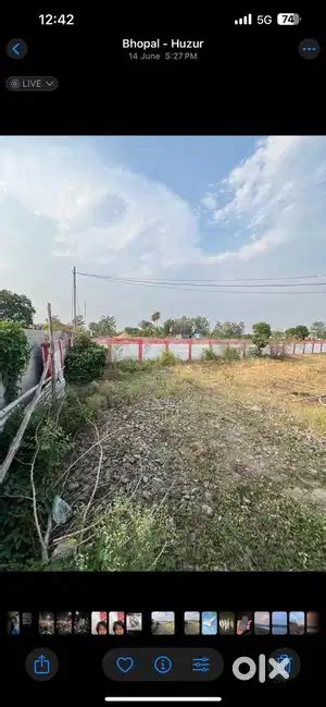 Airport road mubarikpur shan e bhopal dhaba bliss farm house - Lands ...