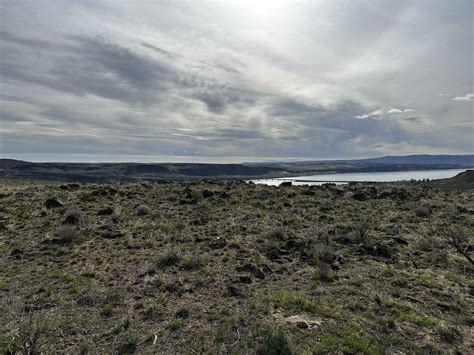 Trees of Stone Trail Vantage Wa. 2023 - Sundown M Ranch
