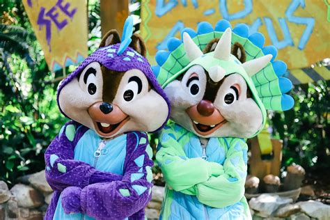 Disney Animal Kingdom Characters