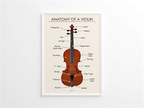 Violin Anatomy Poster, Violin Diagram Printable, Violin Parts Names, Music Teacher Resource ...