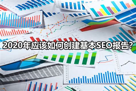 SEO 报告工具 - 产品导览 | Dragon Metrics
