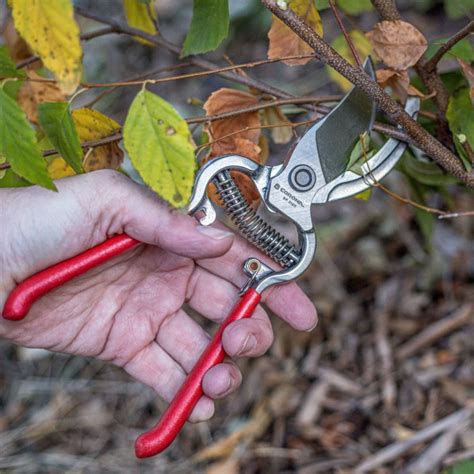 Corona ClassicCUT® Bypass Pruner for Sale - Arbor Day Foundation