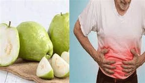guava miracle benefits on stomach health|ಈ ಸಮಸ್ಯೆಗಳಿಗೆ ಚಮತ್ಕಾರಿ ಪರಿಹಾರ ...