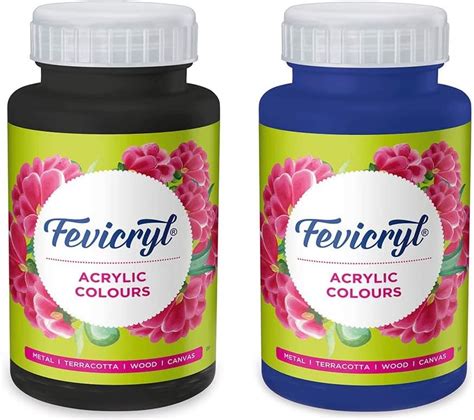 Pidilite Fevicryl Acrylic Painting Color (Black, 500ml) Fevicryl ...