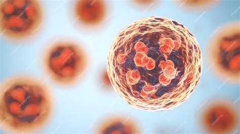 Microscopic Cell Structure 的图像结果