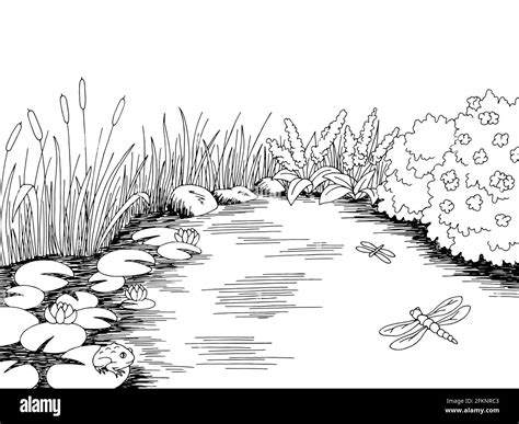 Pond Clipart Black And White