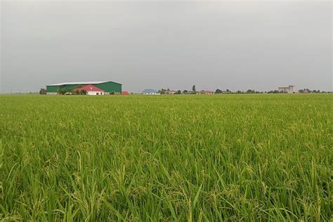 Kuching City to Sarawak Bidayuh Half-Day Longhouse Experience 2025 ...