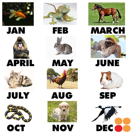 Birth Animals For Each Month