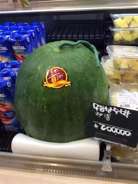 看完中国超市西瓜的价格，再看韩国的，对比后才发现差距太大了_腾讯新闻