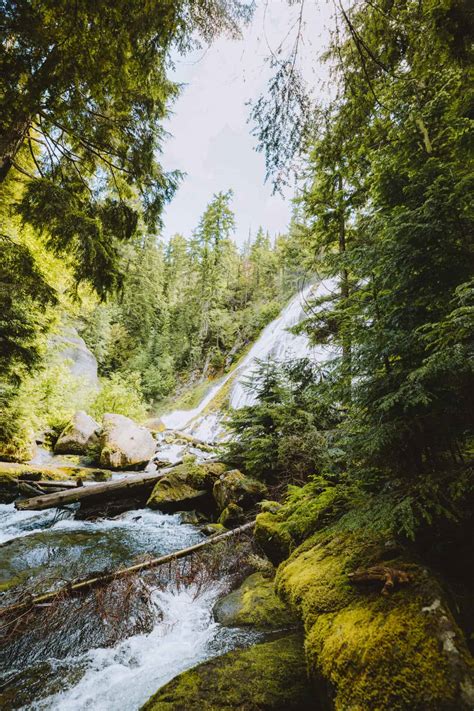 Your Best Route To Diamond Creek Falls Hike (See The Most Beautiful ...