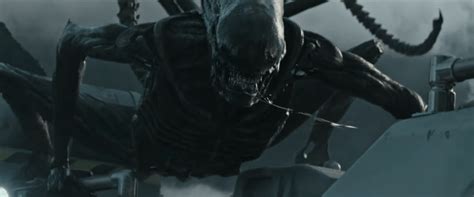 Alien Covenant 的图像结果