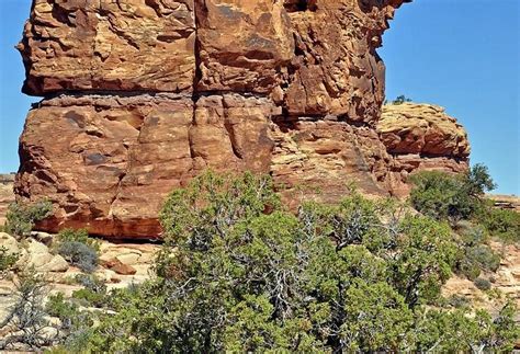 Newspaper Rock Recreation Site, Monticello - Tripadvisor