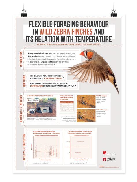 Science Poster Layout 的图像结果