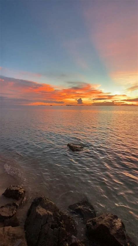 Sea View 的图像结果