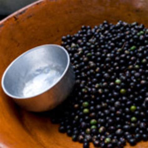Acai berries and weight loss: Separating fact from myth | Canadian Living