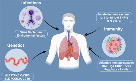 Frontiers | MicroRNAs in Kawasaki disease: An update on diagnosis, therapy and monitoring