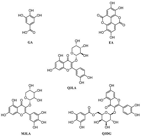 Antioxidant-Rich Woodfordia fruticosa Leaf Extract Alleviates ...