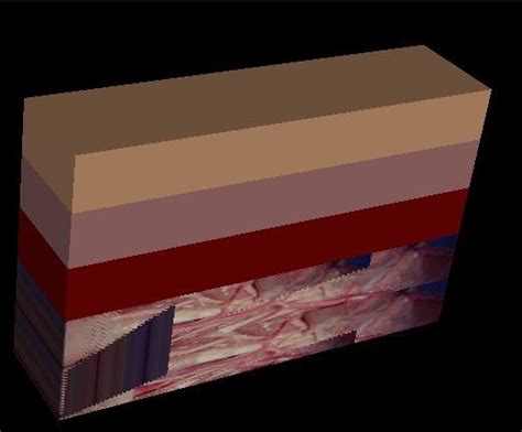 Image result for Skin Tissue Texture Mapping