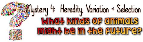 Mystery Science Lessons Today 的图像结果