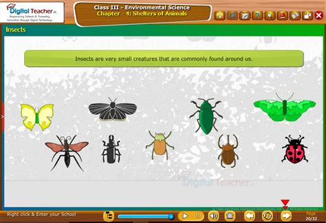 Infographics | Environmental Science | Digital Teacher