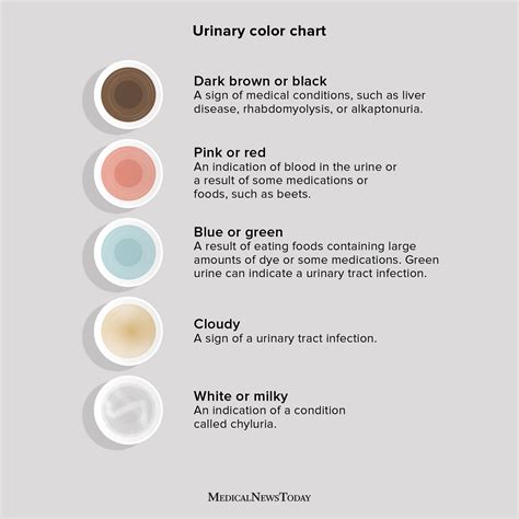 Urinary Tract Infection Urine Color