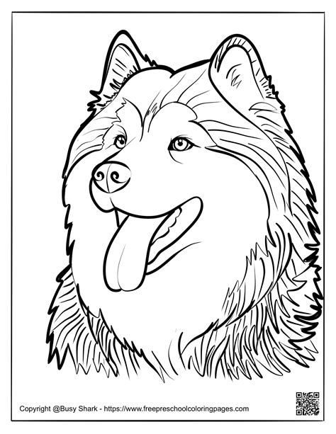 Husky Dog Free Coloring Pages