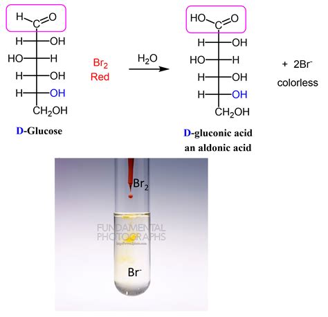 Oxidation of Monosaccharide Carbohydrates - Chemistry Steps