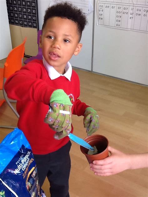 Science KS1 的图像结果