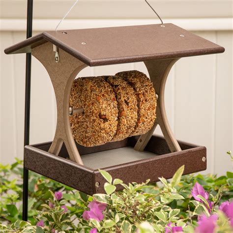Royal Wing Seed And Suet Bird Feeder at Audrey Begay blog