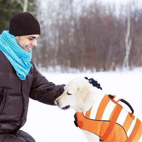 Buy Dog Life Jacket, Reflective & Adjustable Preserver Flotation Vest ...