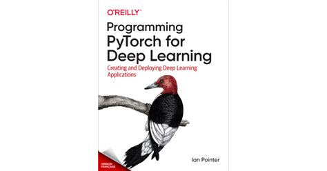 Python Torch Tutorial Francais 的图像结果