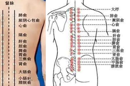 「随时随地，放松身体」斐洛背部按摩器体验_试用报告_新浪众测